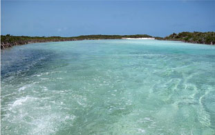 DAY 5: SHROUD CAY (National Sea Park)