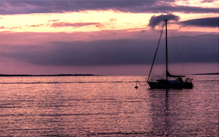 DAY 4: MARTHA’S VINEYARD